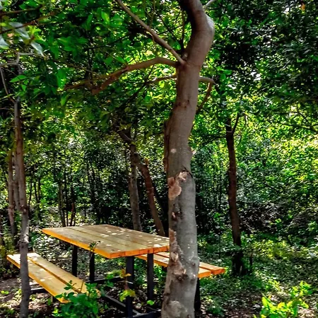 Appartement Kopajtic